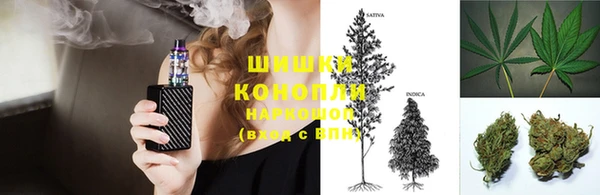 МДПВ Кодинск