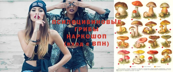 дживик Козловка