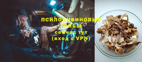 дживик Козловка