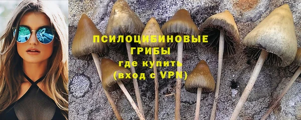 МДПВ Кодинск